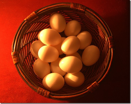 Metaphor of eggs in one basket to convey the risk of focusing in the wrong areas on your job search